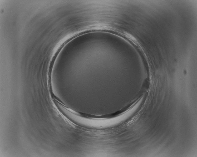 X0000056001334200509021654