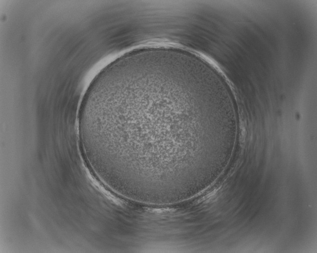 X0000056001335200509021654