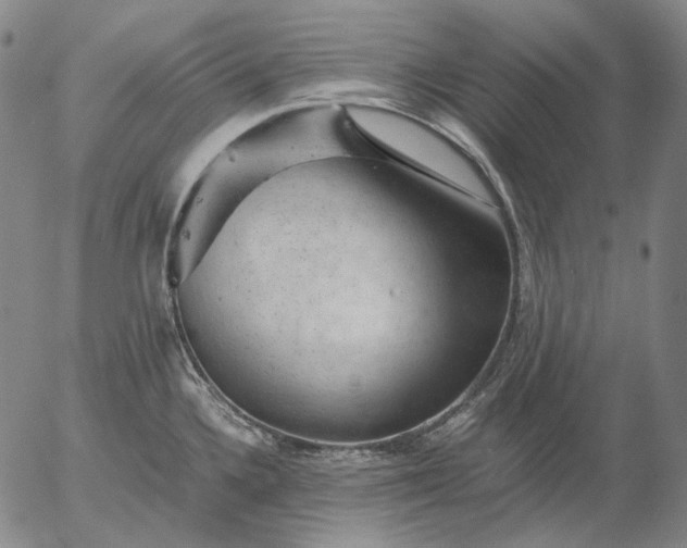 X0000056001336200509021654