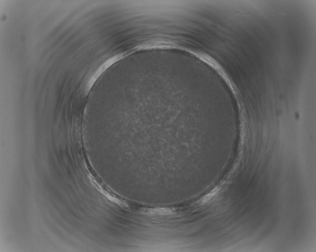 X0000056001337200509021654