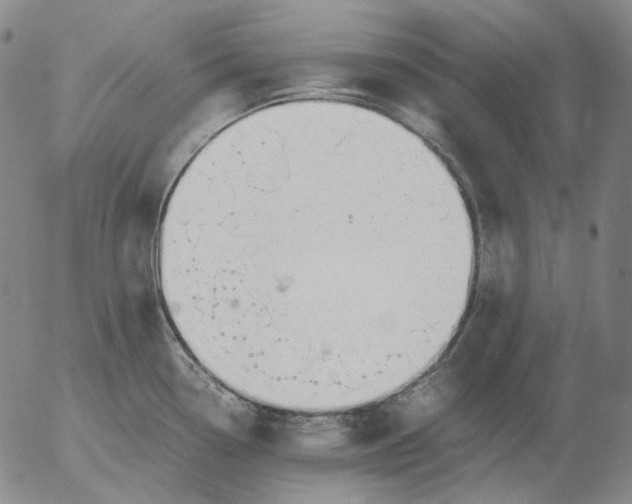 X0000056001338200509021654