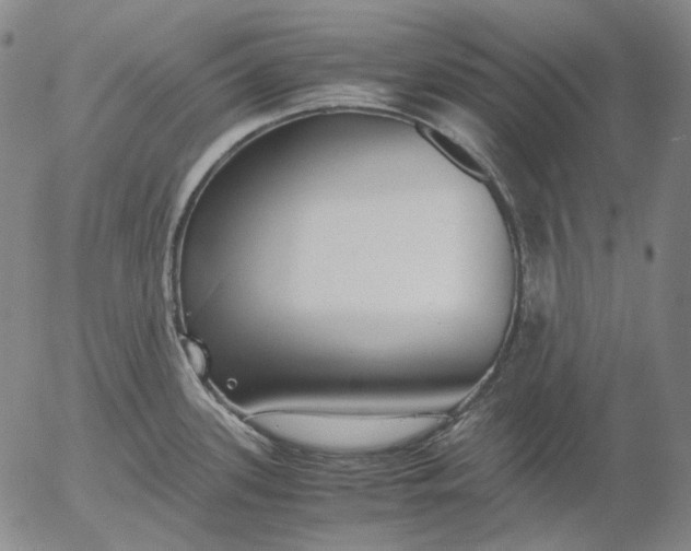 X0000056001339200509021654