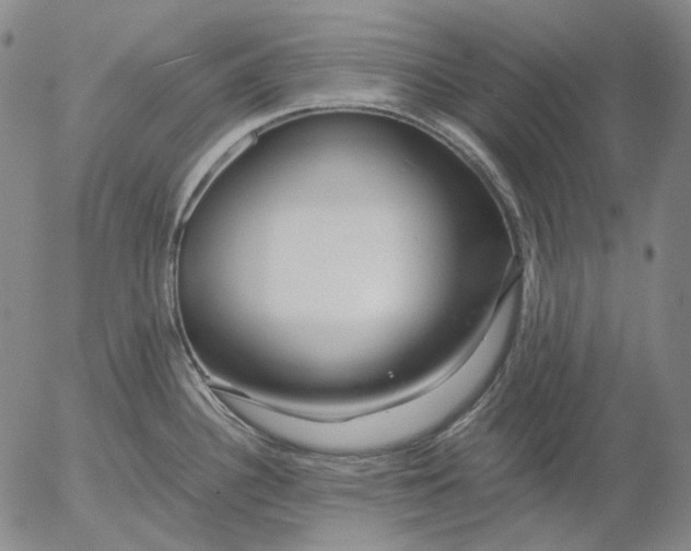 X0000056001340200509021654