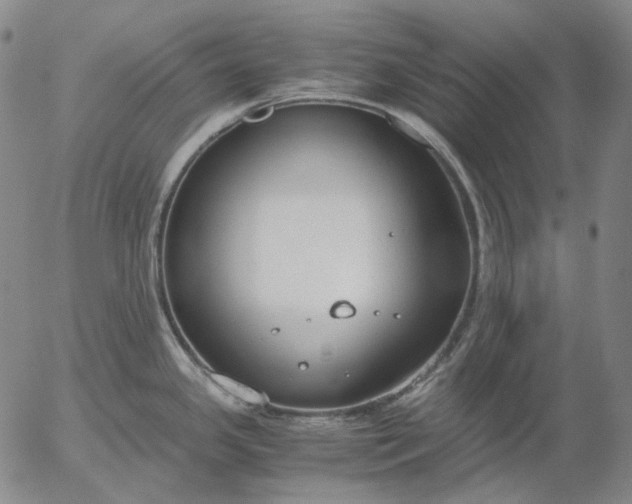 X0000056001341200509021654