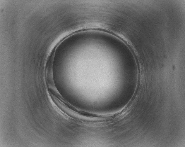 X0000056001342200509021654