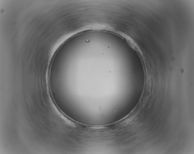 X0000056001343200509021654