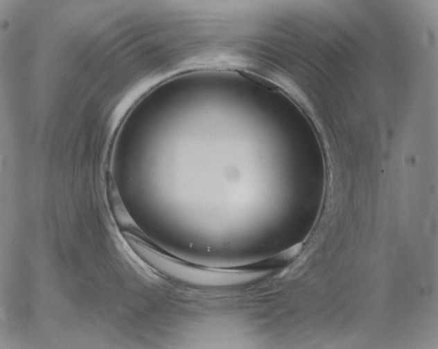 X0000056001344200509021654