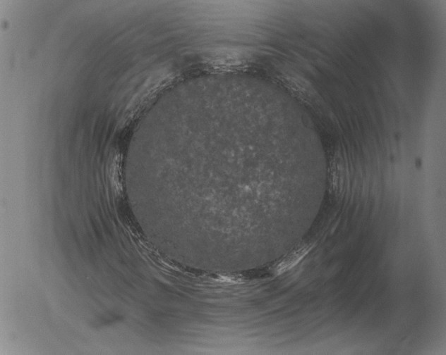 X0000056001346200509021653