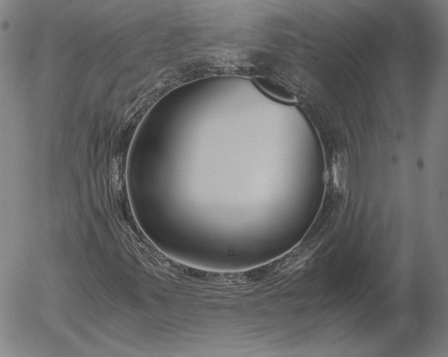 X0000056001347200509021653