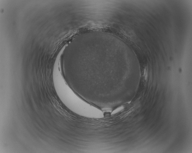 X0000056001348200509021653