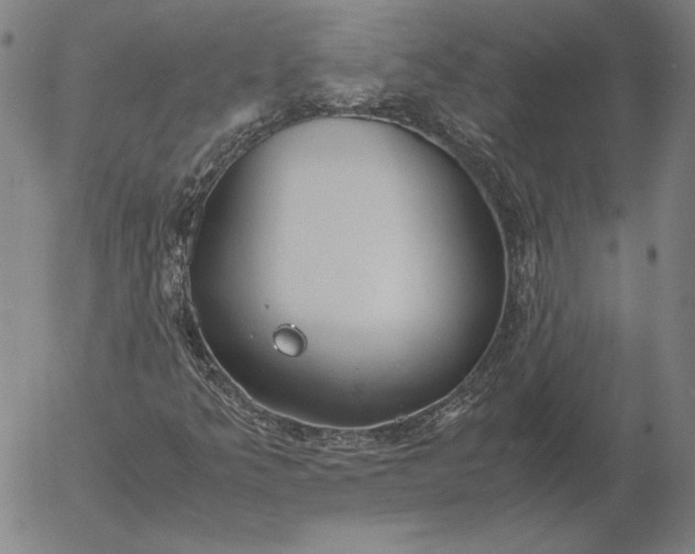 X0000056001349200509021653