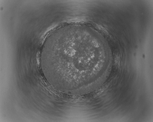 X0000056001350200509021653