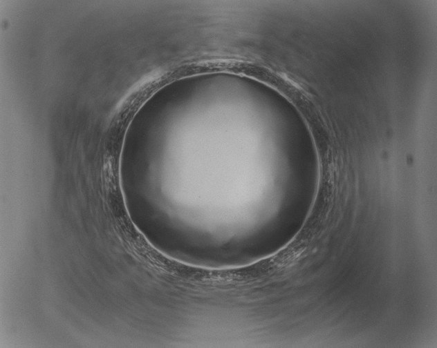 X0000056001351200509021653