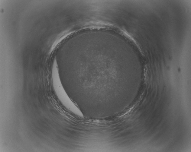 X0000056001352200509021653