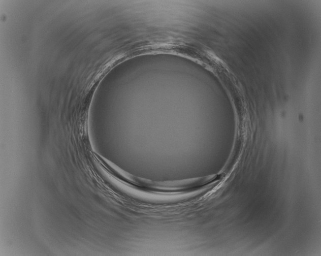 X0000056001353200509021653