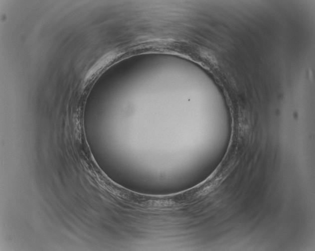 X0000056001354200509021653