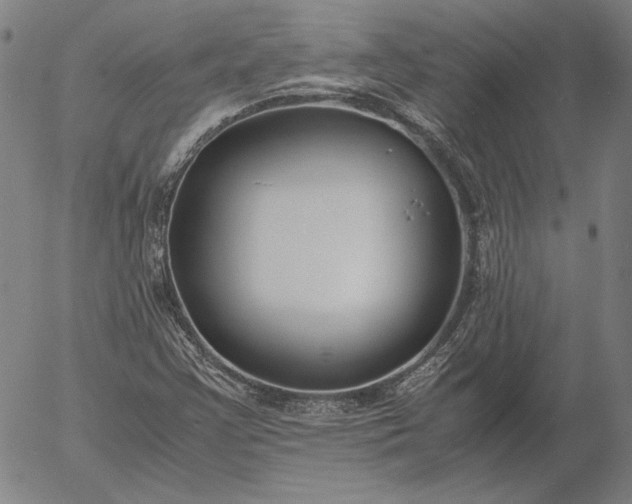 X0000056001355200509021653