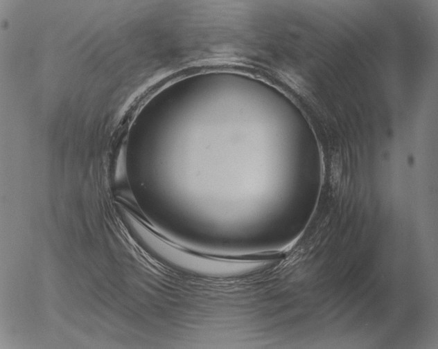 X0000056001356200509021653