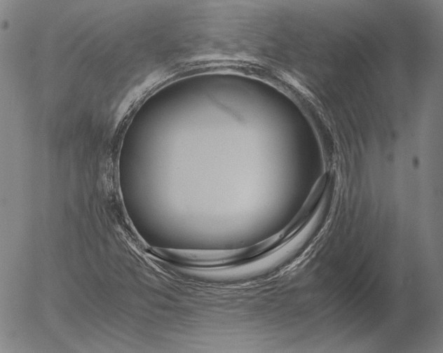 X0000056001357200509021653