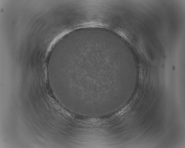 X0000056001358200509021653