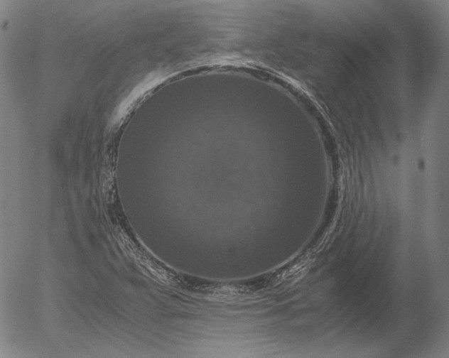 X0000056001359200509021653