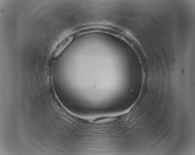 X0000056001360200509021653