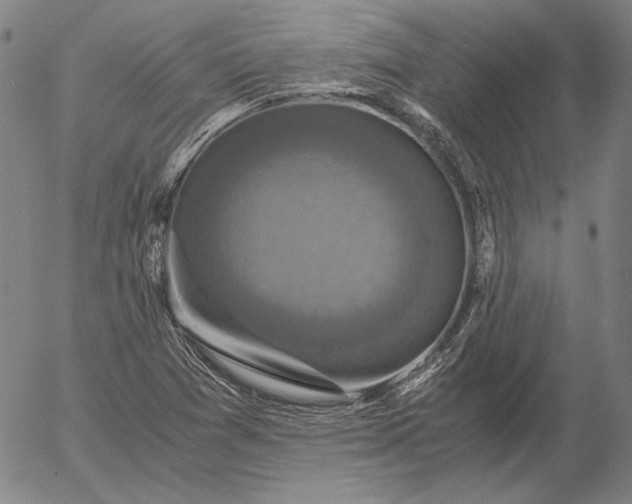 X0000056001361200509021653