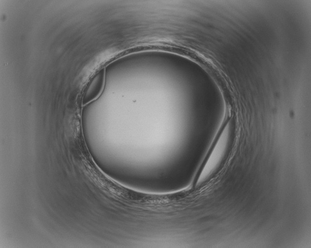 X0000056001363200509021653