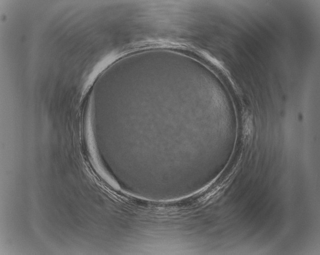 X0000056001365200509021653