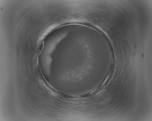 X0000056001367200509021653