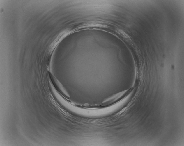 X0000056001369200509021653