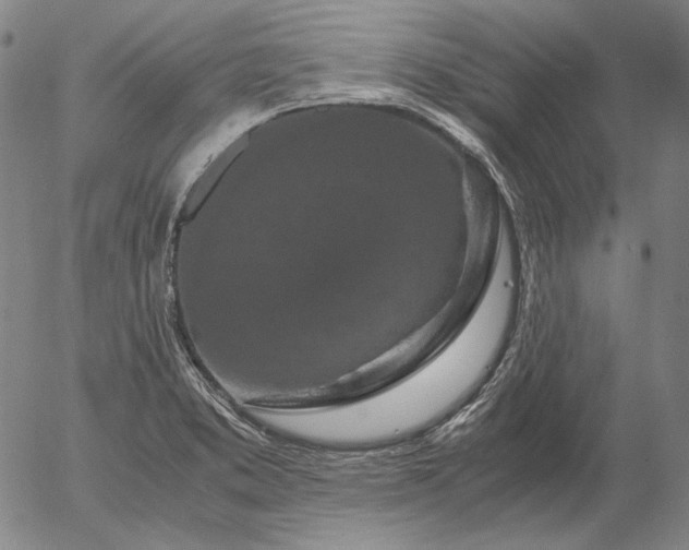 X0000056001373200509021653