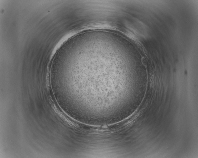 X0000056001374200509021653