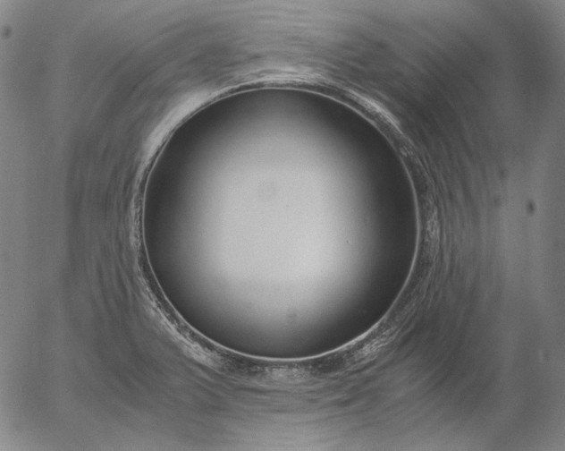 X0000056001375200509021653