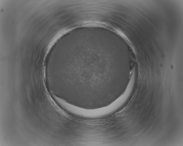 X0000056001376200509021653