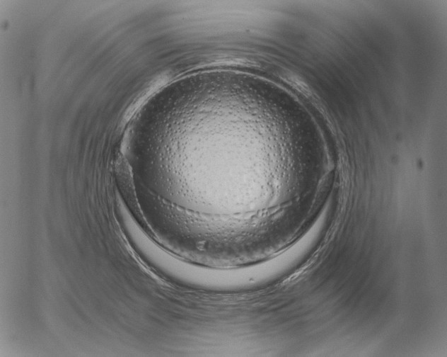 X0000056001377200509021653