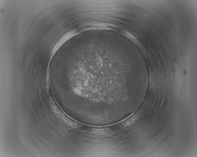 X0000056001378200509021653