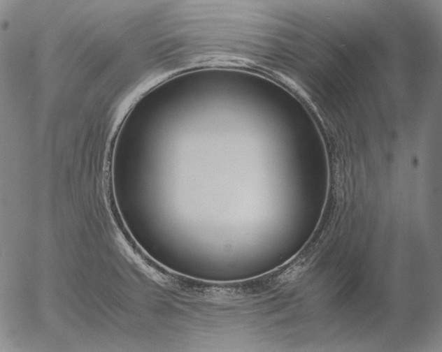 X0000056001379200509021653