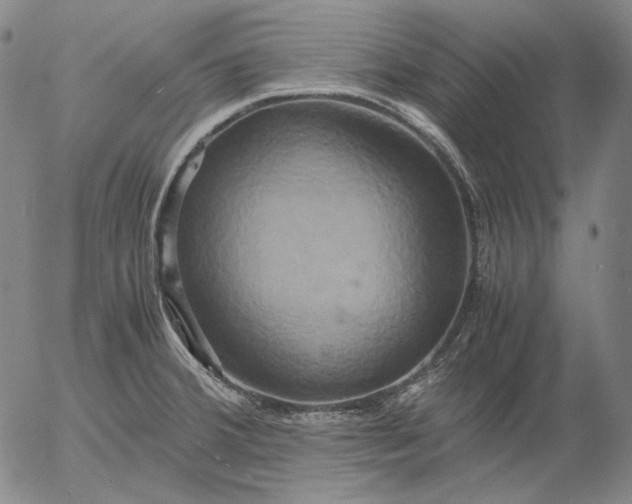 X0000056001380200509021653