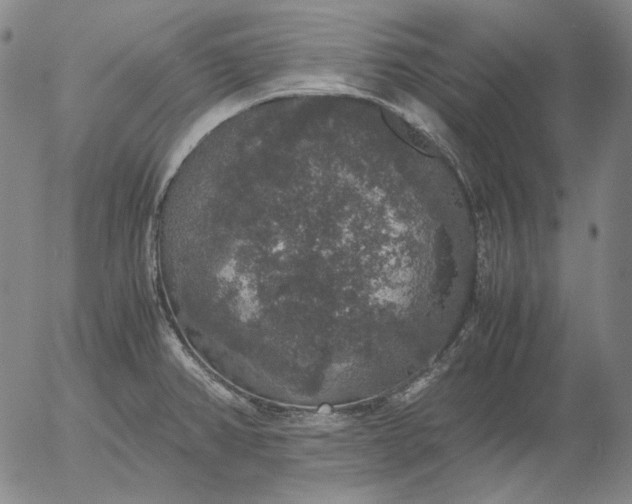 X0000056001382200509021653