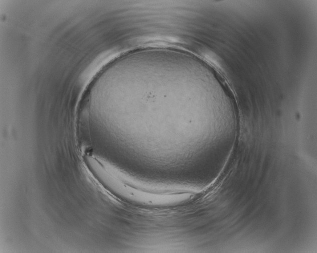 X0000056001384200509021653