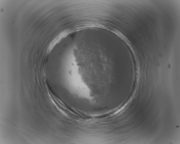 X0000056001385200509021653