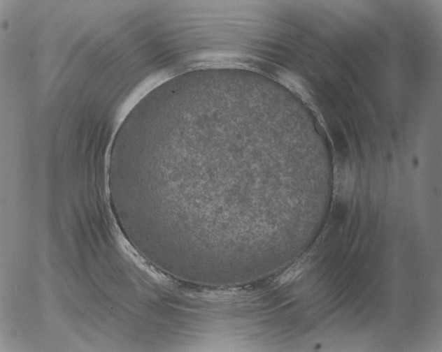 X0000056001386200509021653