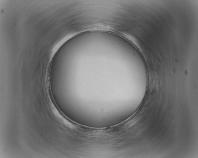 X0000056001387200509021653