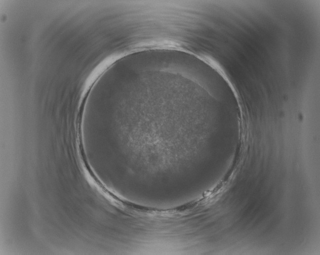 X0000056001389200509021653