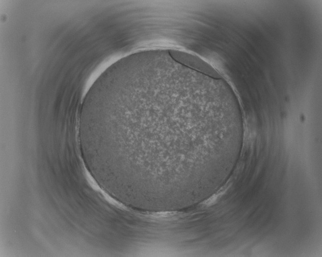 X0000056001390200509021653