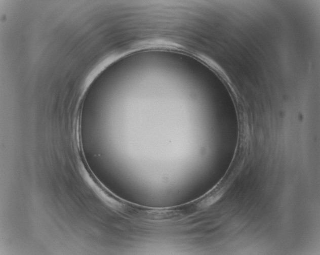 X0000056001391200509021653