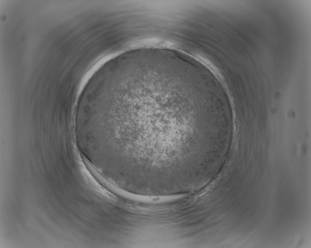 X0000056001392200509021653