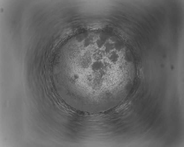 X0000056001393200509021652