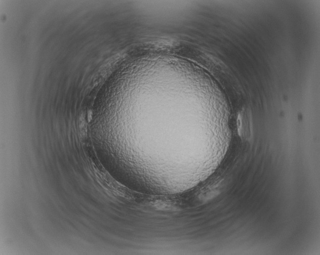 X0000056001395200509021652